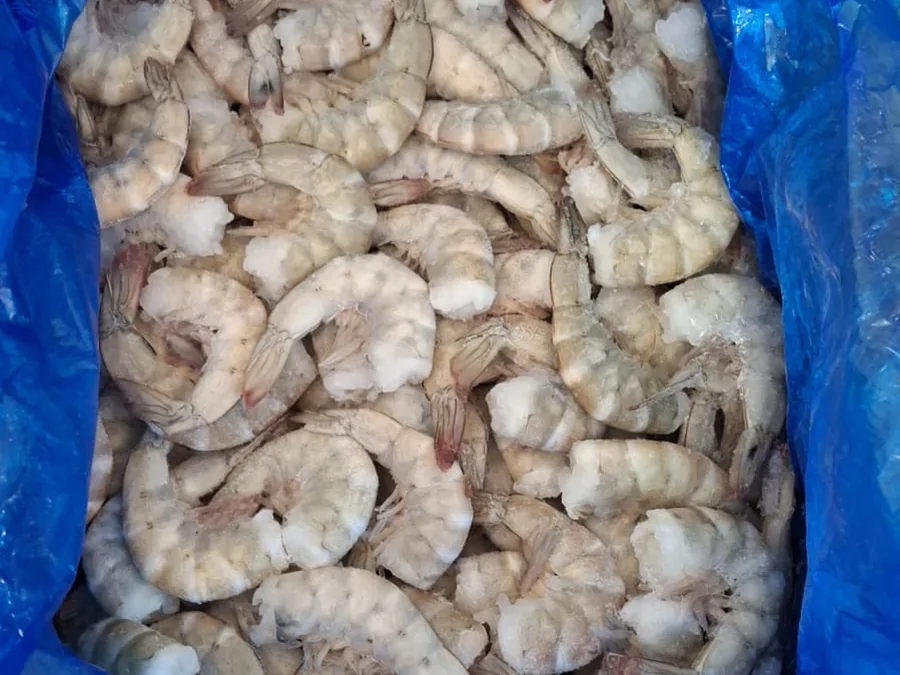 Cola de camarón 16/20
