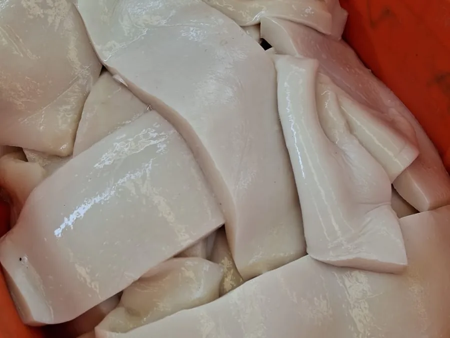 Lonja de calamar crudo
