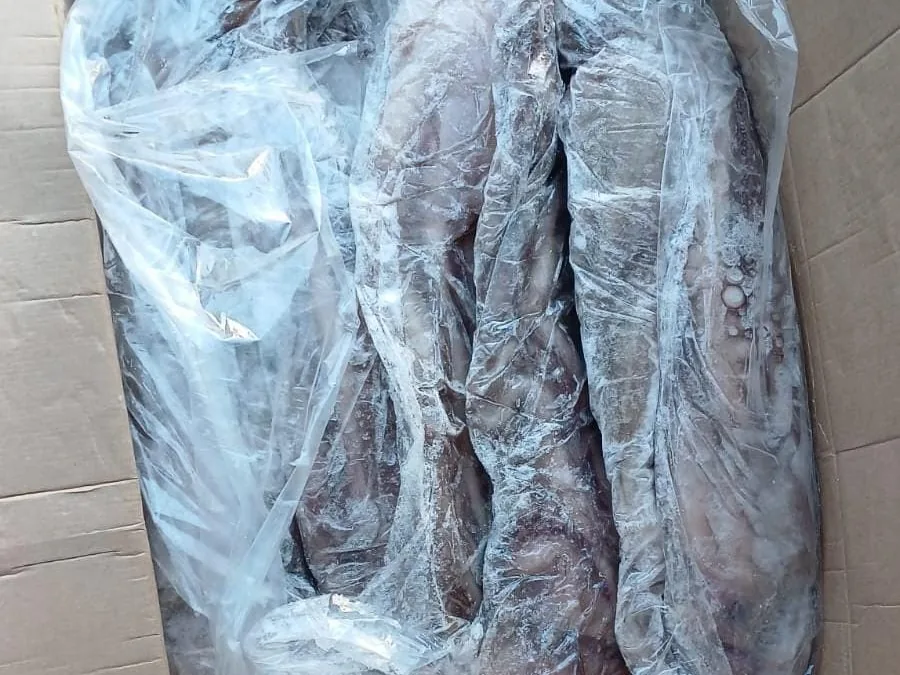 Pulpo crudo 2-4